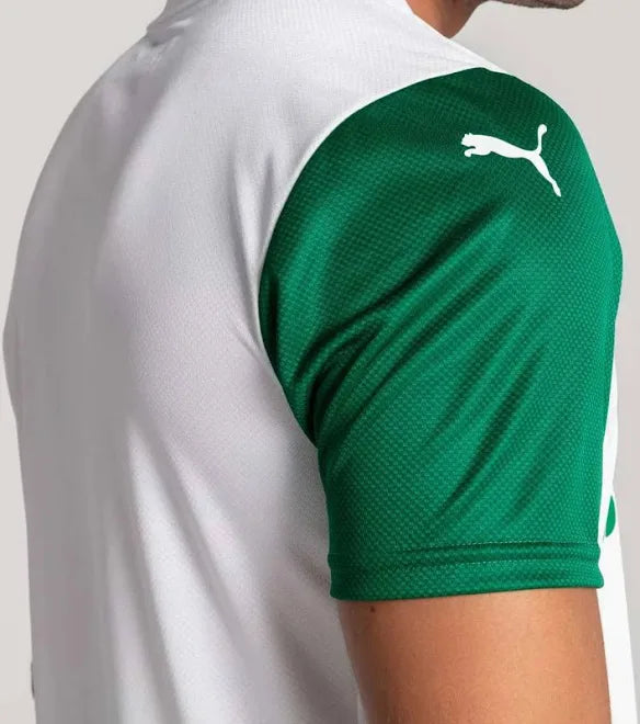 Camisa Palmeiras II 25/26 - Jogador Masculina - Verde e Branco