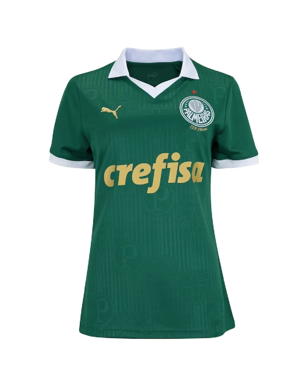Camisa Palmeiras Home 24/25 - Torcedor Feminina - Verde