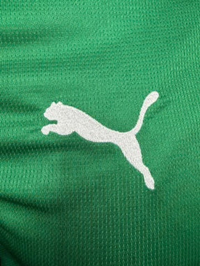 Camisa Palmeiras I 26/27 - Torcedor Masculina - Verde e Branco