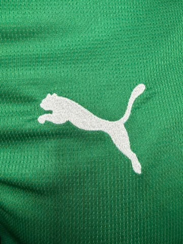 Camisa Palmeiras I 26/27 - Torcedor Masculina - Verde e Branco