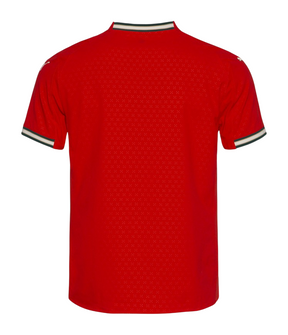 Camisa Portugal I 25/26 - Torcedor Puma Masculina - Vermelha