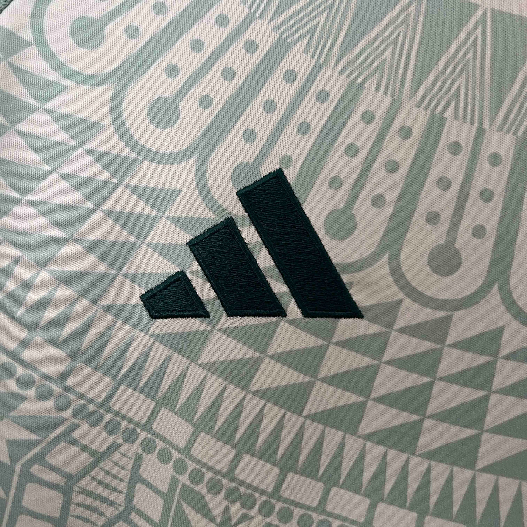 Camisa México II 2024 - Versão Torcedor