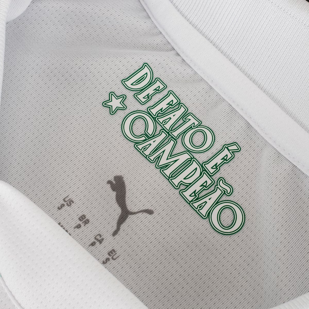 Camisa Palmeiras II 25/26 - Torcedor Masculina - Branca e Verde