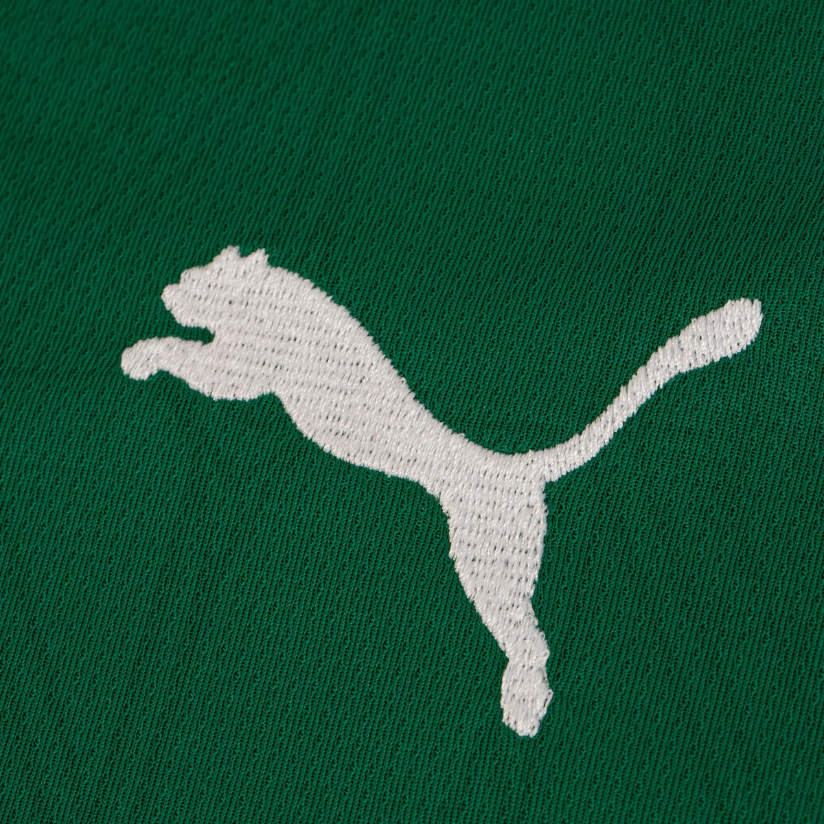 Camisa Palmeiras I 25/26 - Torcedor Masculina - Verde e Branco